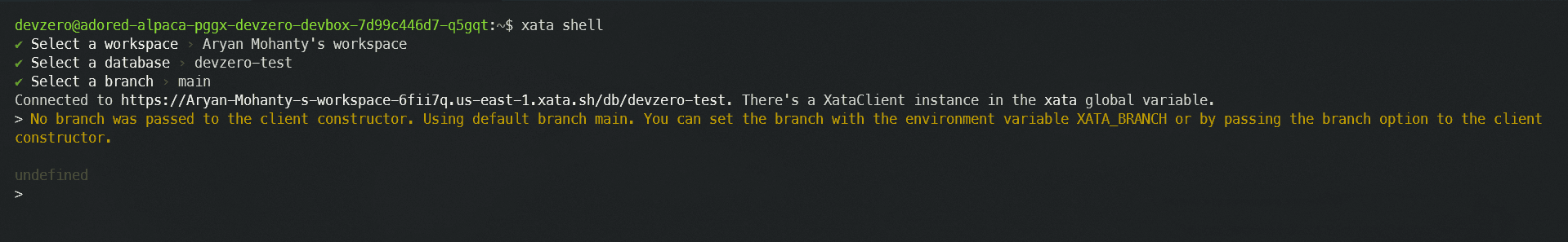 Xata Database Shell Access
